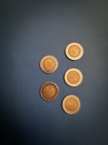 Lotto monete repubblicana - lotto,